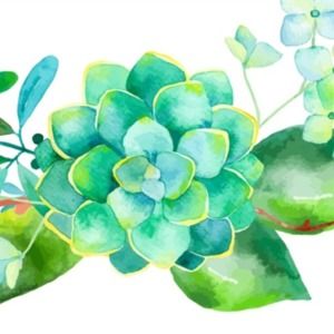 Meet your Posher, Zdenek